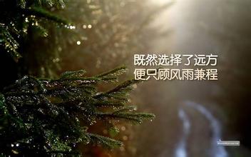 沉下心做自己的事！(圖文)